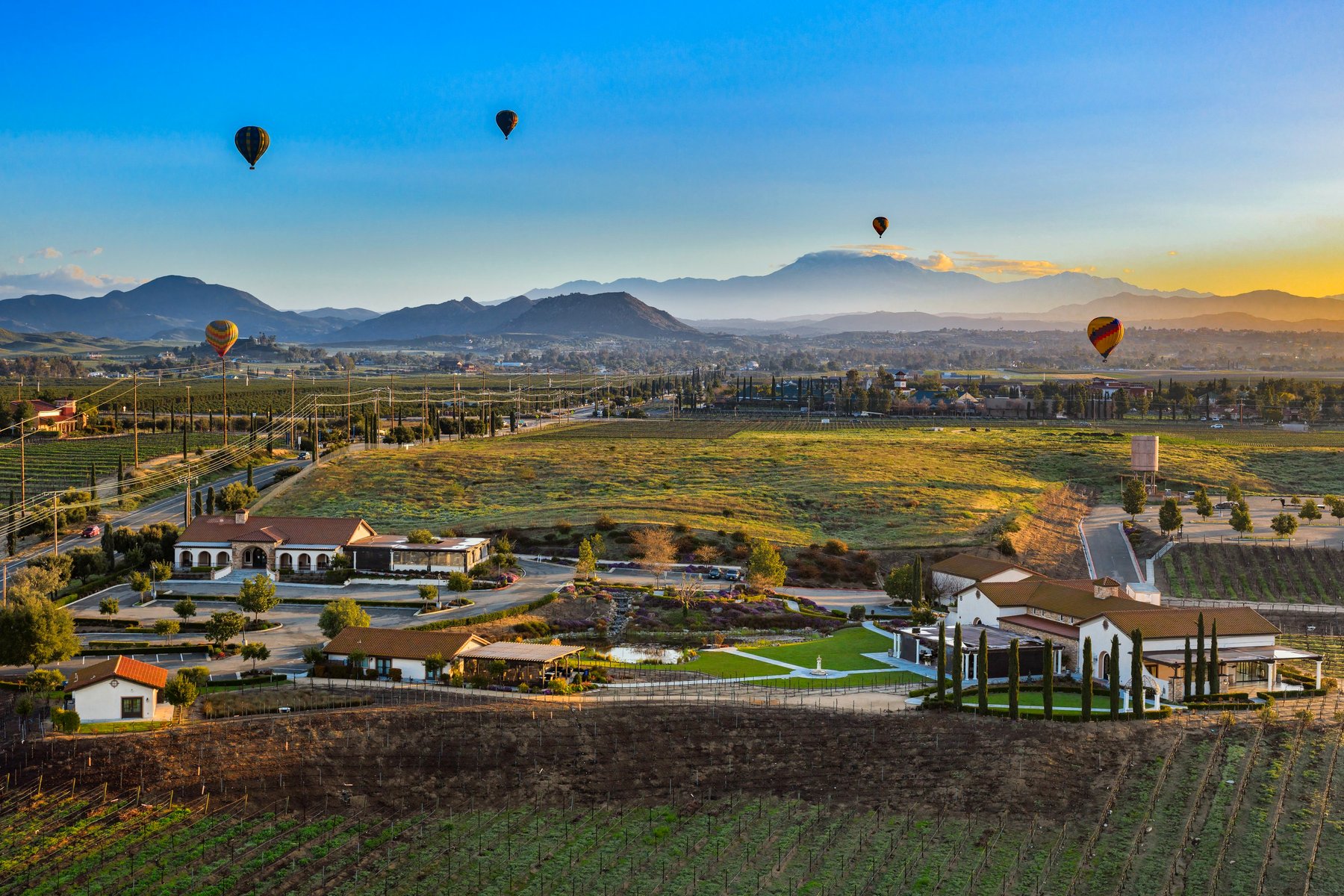 Avensole Vineyard & Winery