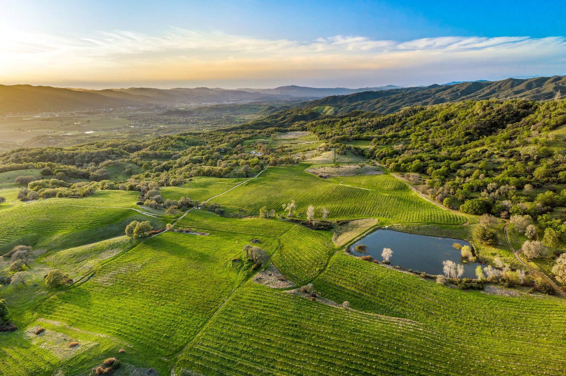 Eaglepoint Ranch