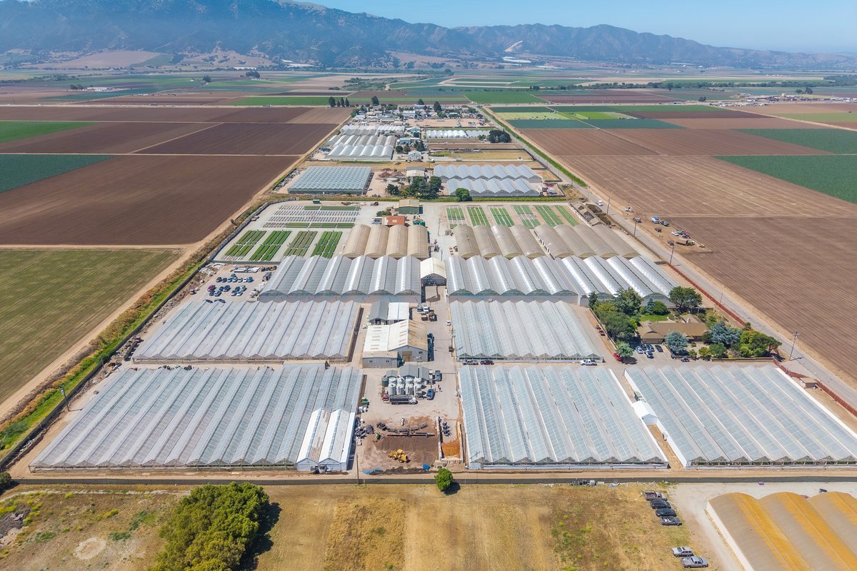 Riverview Farms