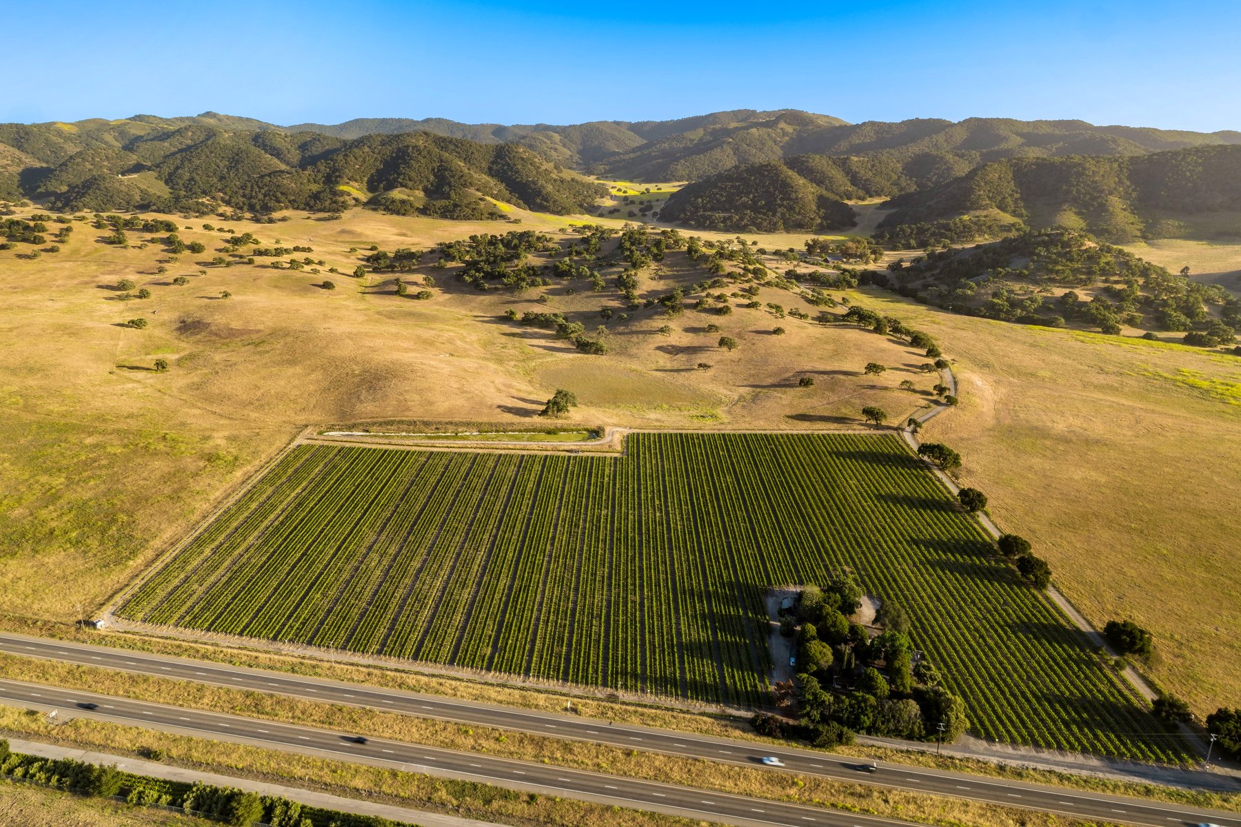 Ron's Ranch